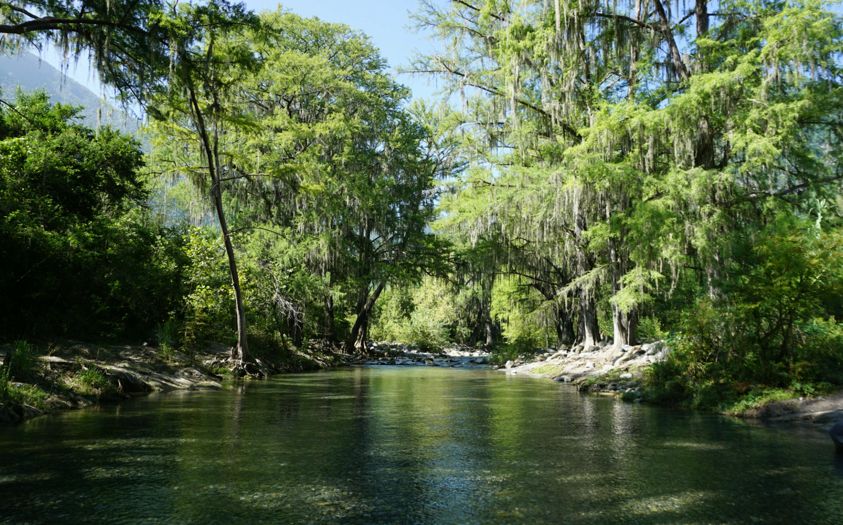 Joven muerto aparece en el río de Nuevo León 